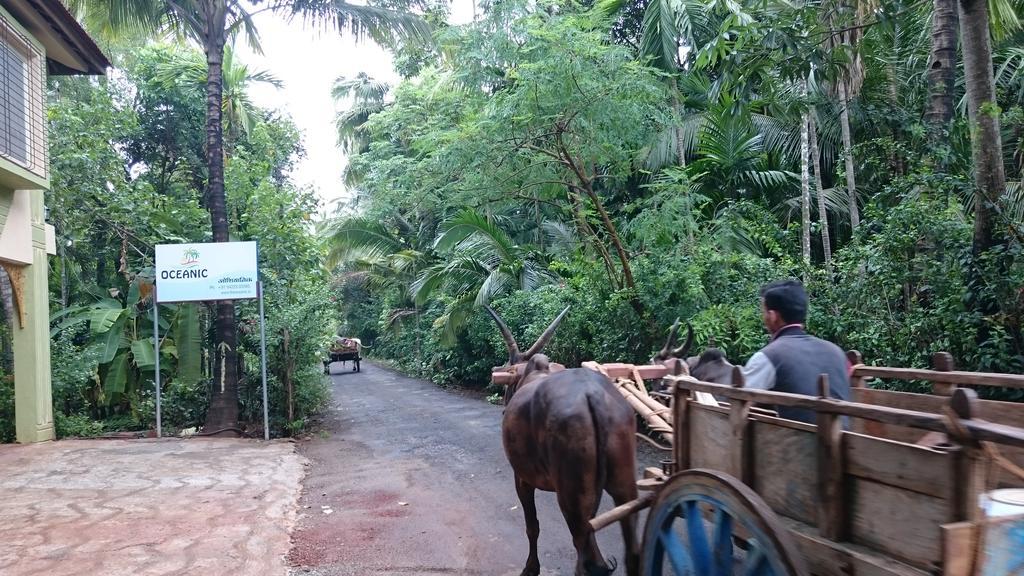 Oceanic Hotel Diveagar Bagian luar foto